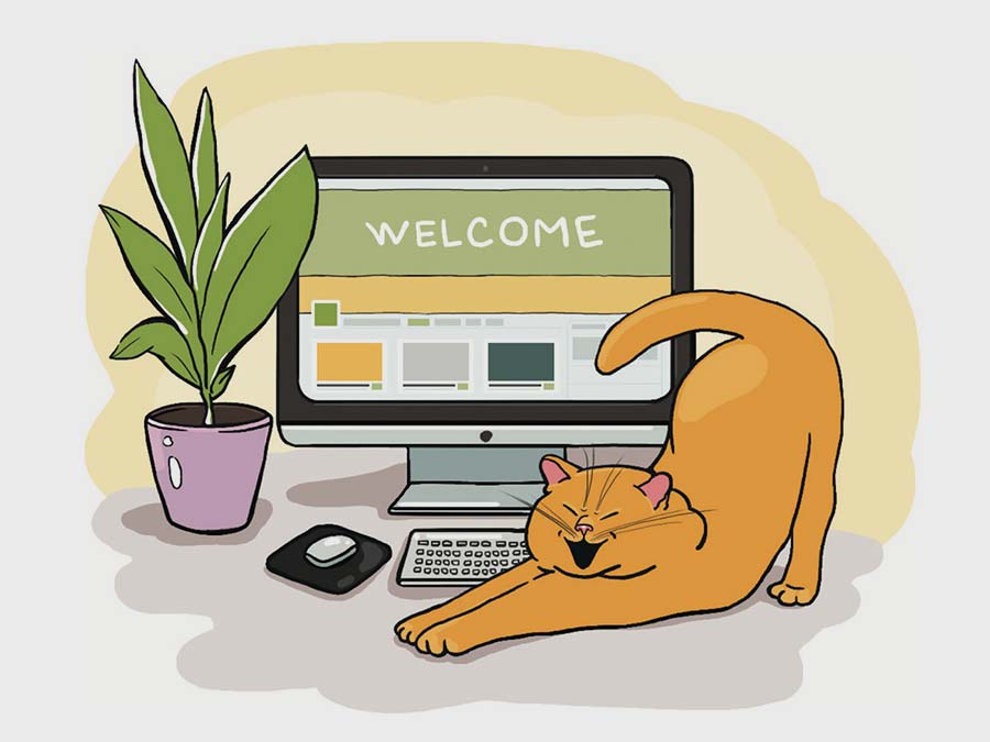 welcome